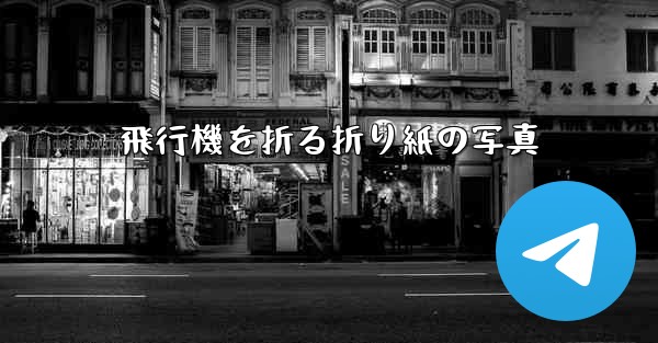 飛行機を折る折り紙の写真