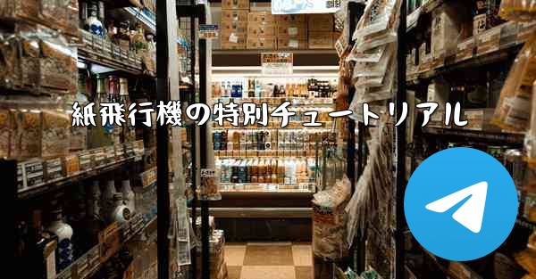 紙飛行機の特別チュートリアル