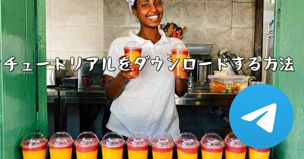 Apple から飛行機のビデオチュートリアルをダウンロードする方法