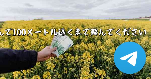 飛行機を折りたたんで100メートル遠くまで飛んでください
