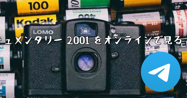 紙飛行機のドキュメンタリー 2001 をオンラインで見る