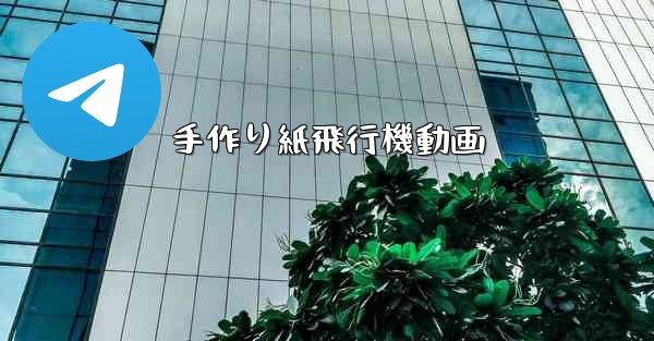 手作り紙飛行機動画