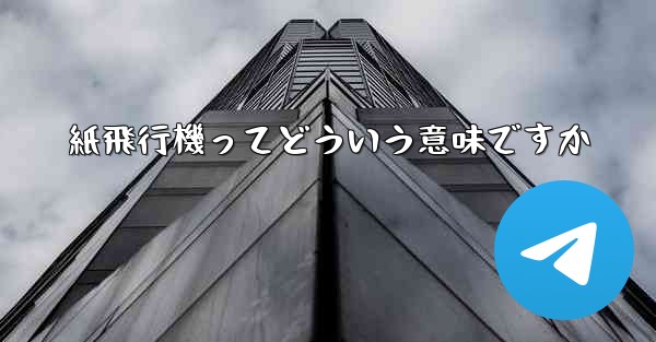 紙飛行機ってどういう意味ですか