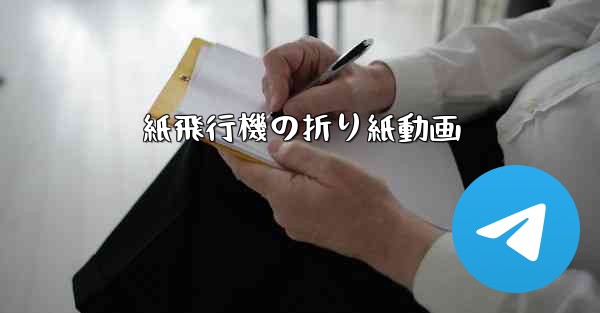 紙飛行機の折り紙動画