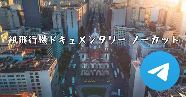 紙飛行機ドキュメンタリー ノーカット