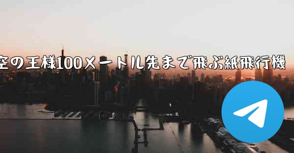 空の王様100メートル先まで飛ぶ紙飛行機
