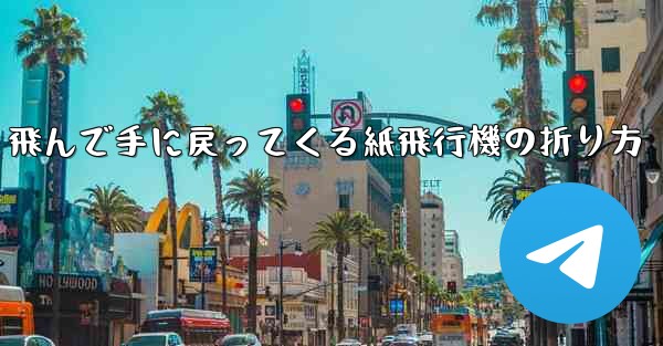 飛んで手に戻ってくる紙飛行機の折り方