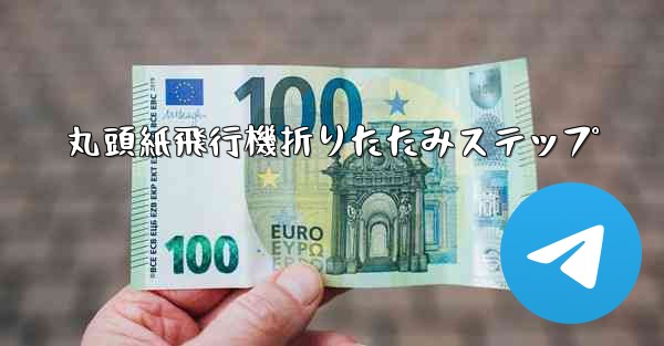 丸頭紙飛行機折りたたみステップ