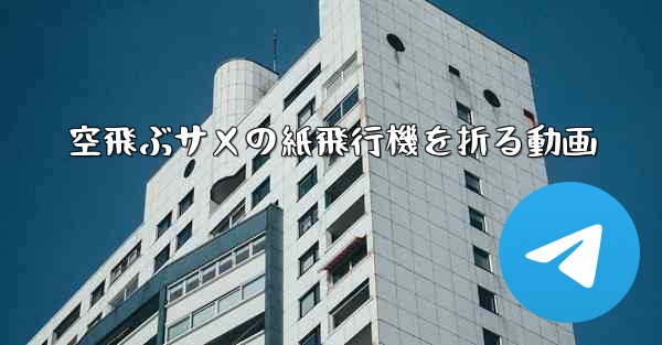 空飛ぶサメの紙飛行機を折る動画