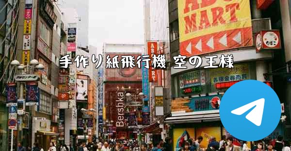 手作り紙飛行機 空の王様