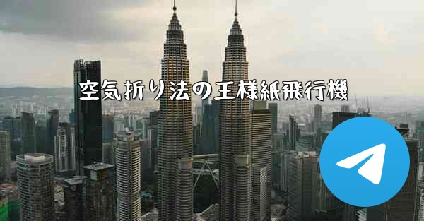 空気折り法の王様紙飛行機