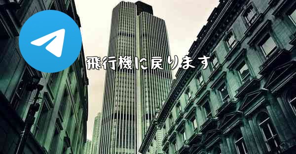 飛行機に戻ります