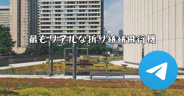 最もリアルな折り紙紙飛行機