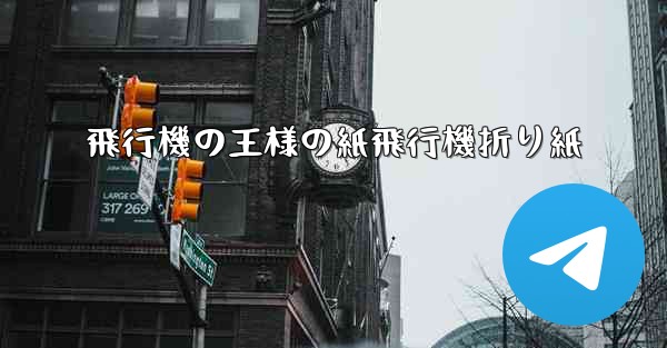 飛行機の王様の紙飛行機折り紙