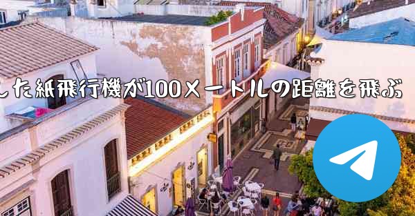 折り紙で手作りした紙飛行機が100メートルの距離を飛ぶ