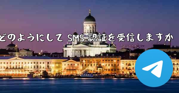 Paper Plane はどのようにして SMS 認証を受信しますか