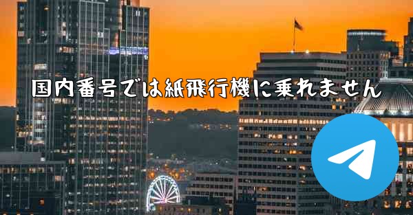 国内番号では紙飛行機に乗れません
