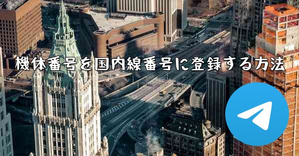 機体番号を国内線番号に登録する方法