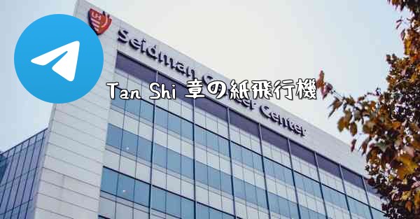 Tan Shi 章の紙飛行機