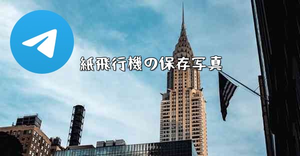 紙飛行機の保存写真