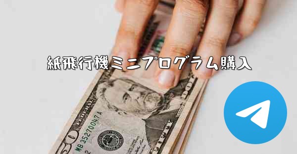 紙飛行機ミニプログラム購入