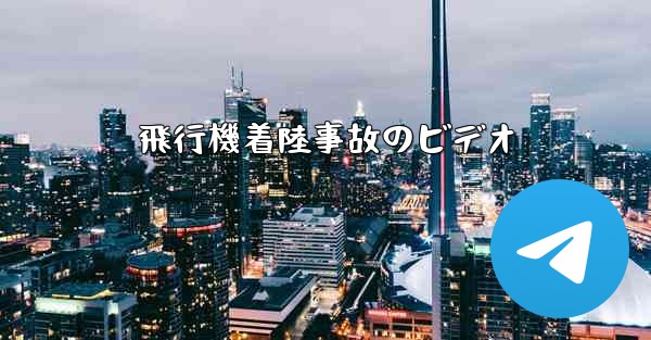 飛行機着陸事故のビデオ