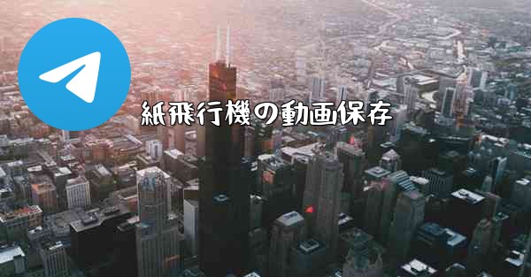 紙飛行機の動画保存