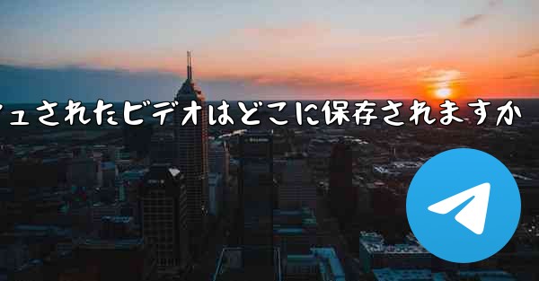 Paper Plane のキャッシュされたビデオはどこに保存されますか