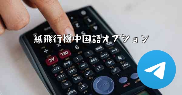 紙飛行機中国語オプション