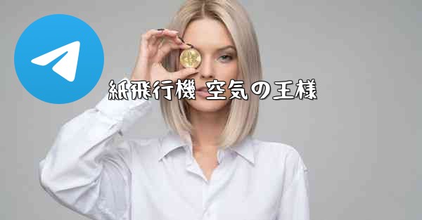 紙飛行機 空気の王様