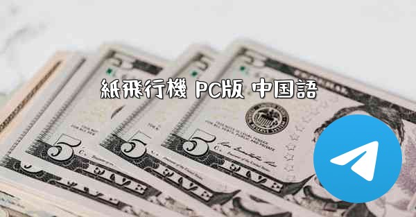 紙飛行機 PC版 中国語