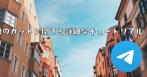 ティッシュペーパー飛行機のカットに関する詳細なチュートリアル