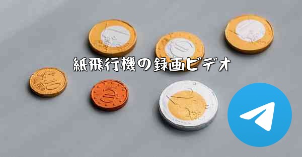 紙飛行機の録画ビデオ