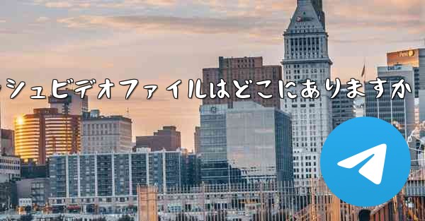 Paper Plane のキャッシュビデオファイルはどこにありますか