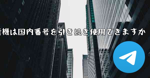 紙飛行機は国内番号を引き続き使用できますか
