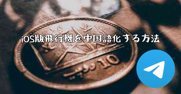 iOS版飛行機を中国語化する方法