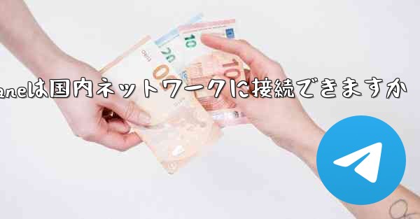 Paper Planeは国内ネットワークに接続できますか