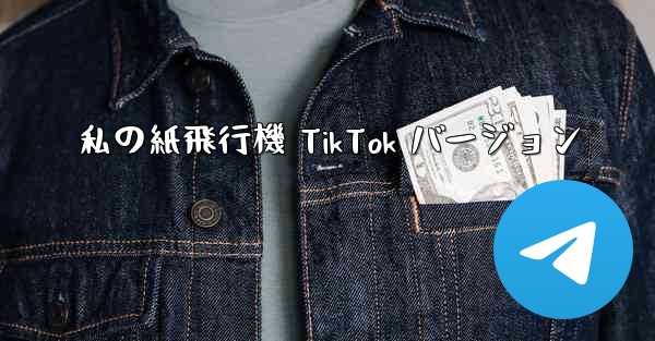 私の紙飛行機 TikTok バージョン