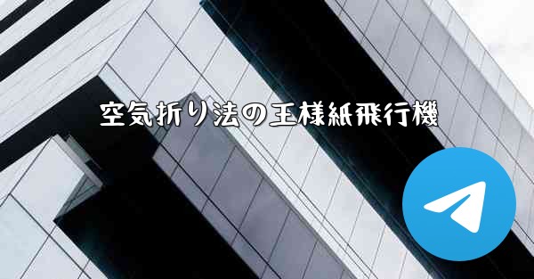 空気折り法の王様紙飛行機