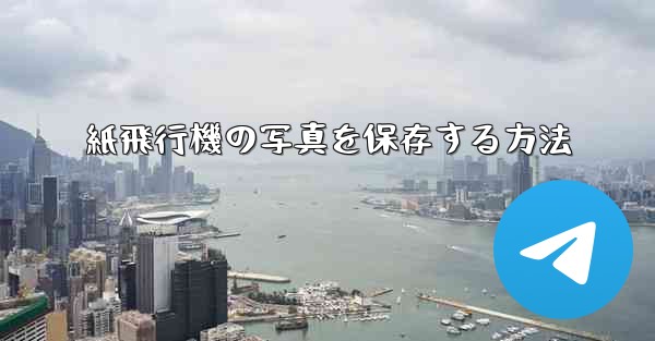 紙飛行機の写真を保存する方法