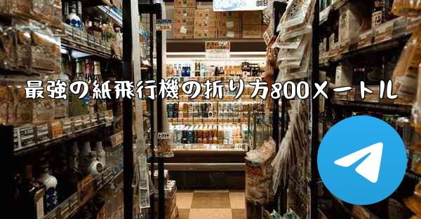 最強の紙飛行機の折り方800メートル