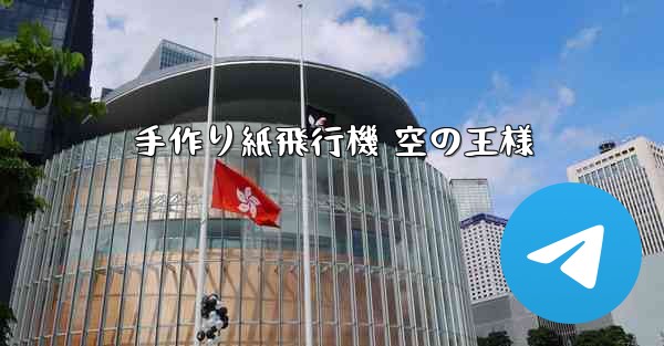 手作り紙飛行機 空の王様