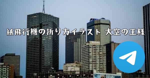 紙飛行機の折り方イラスト 大空の王様