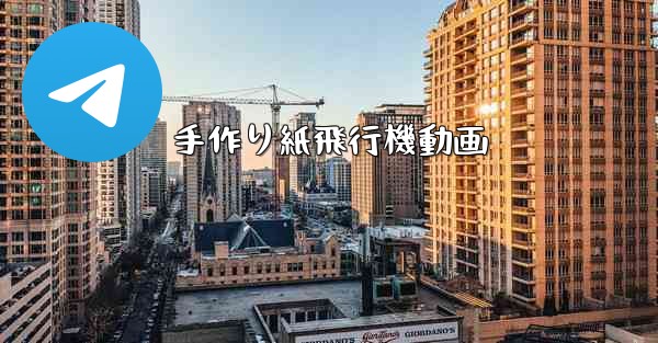 手作り紙飛行機動画