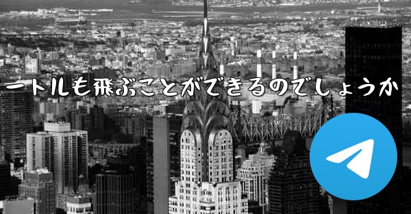 紙飛行機はどうやって最長600メートルも飛ぶことができるのでしょうか