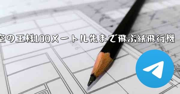 空の王様100メートル先まで飛ぶ紙飛行機