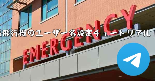 紙飛行機のユーザー名設定チュートリアル