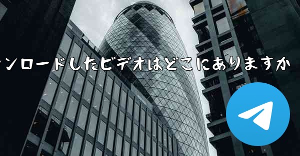 Little Plane がダウンロードしたビデオはどこにありますか