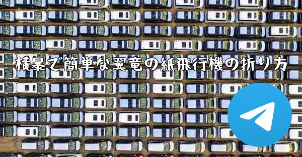 横暴で簡単な翼竜の紙飛行機の折り方