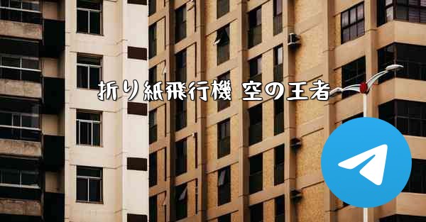 折り紙飛行機 空の王者